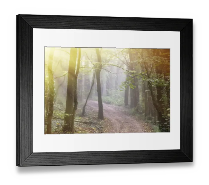 Framed Print : The road leads to the misty deciduous forest and the penetrating rays of the sun