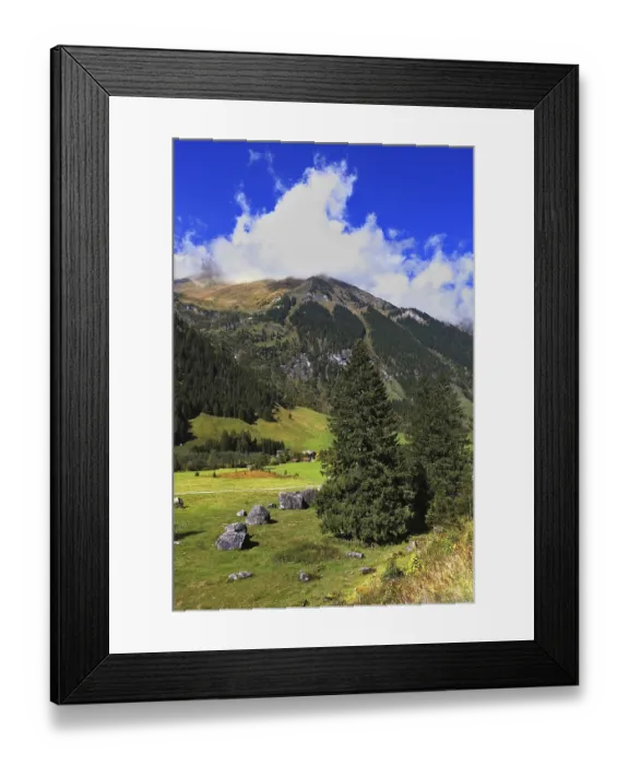 Framed Print : Early autumn in the Austrian Alps