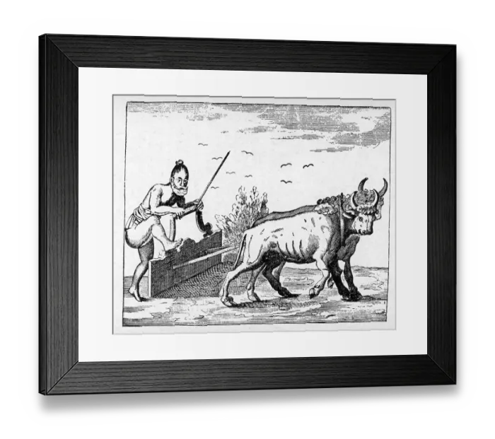 Framed Print : An Historical Relation of the Island Ceylon together With somewhat Concerning Severall Remarkable passages of my