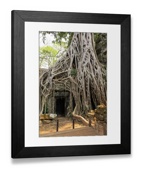 Framed Print : The temple of Ta Prohm in Cambodia