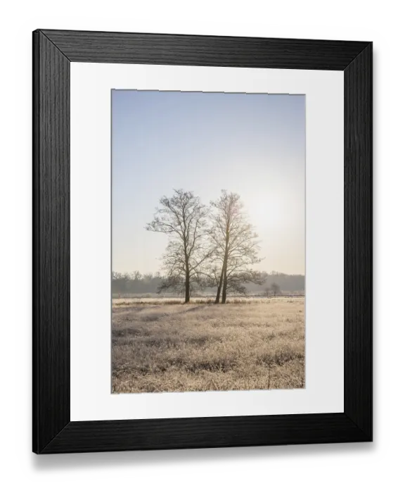 Framed Print : Winter landscape in frost at sunrise Framed Print : Winter landscape in frost at sunrise