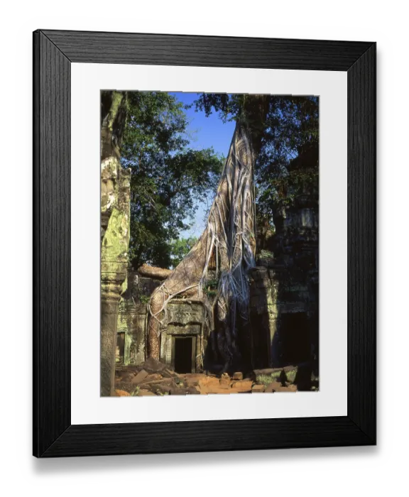 Framed Print : Ta Prohm was built in the Bayon style largely in the late 12th and early 13th centuries