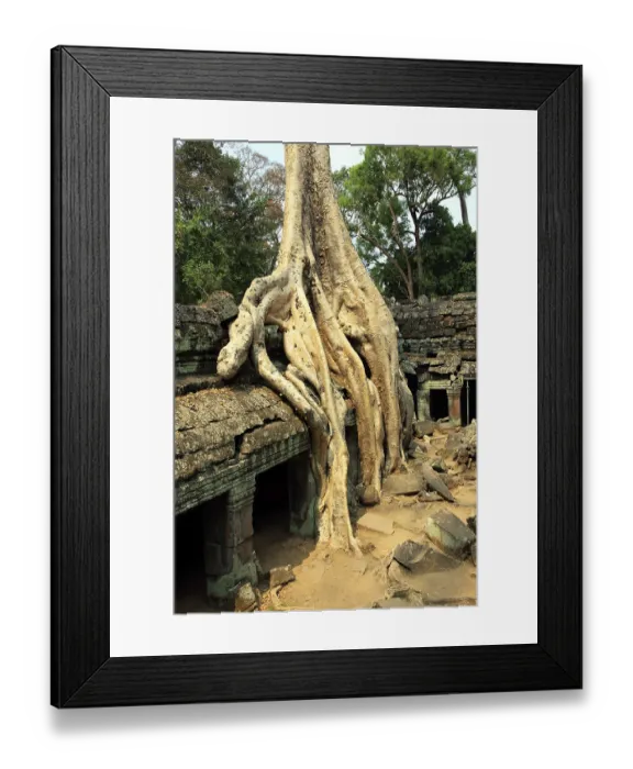 Framed Print : The temple of Ta Prohm in Cambodia