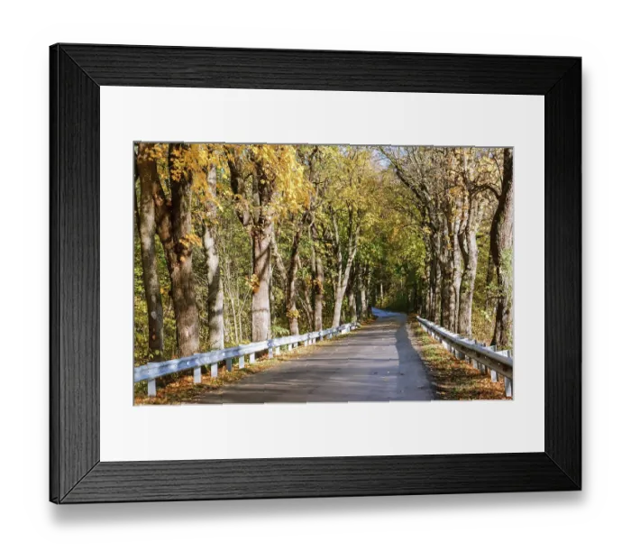 Framed Print : Highway in the autumn forest, yellowed trees on the edges of the highway Framed Print : Highway in the autumn forest, yellowed trees on the edges of the highway