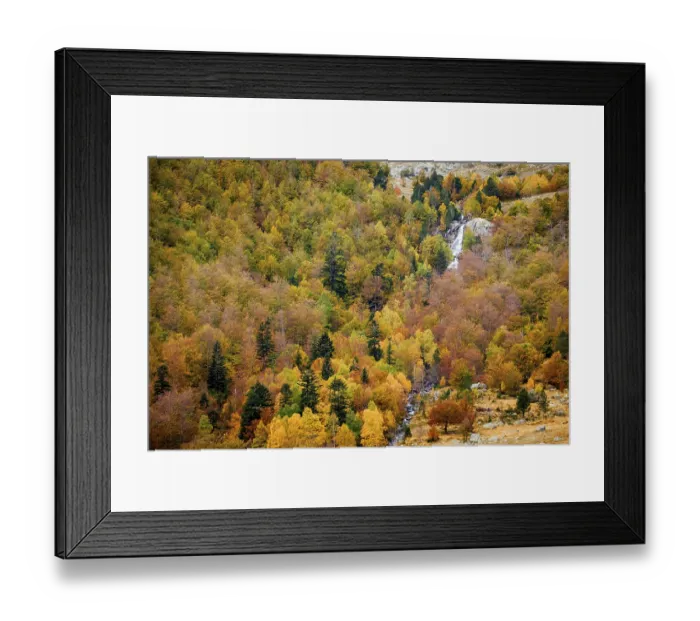 Framed Print : Mixed deciduous forest, Molieres valley