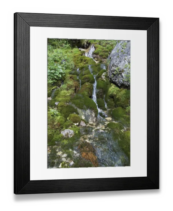 Framed Print : Small inlet to the Johannesbach