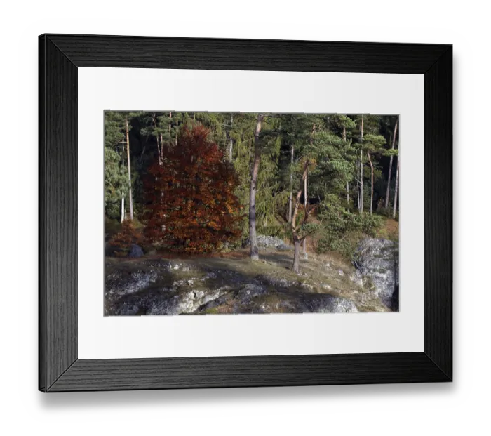 Framed Print : Steinernes Meer, Swabian Alb Framed Print : Steinernes Meer, Swabian Alb
