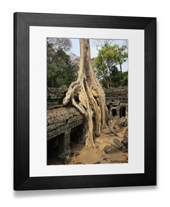 Framed Print : The temple of Ta Prohm in Cambodia Framed Print : The temple of Ta Prohm in Cambodia