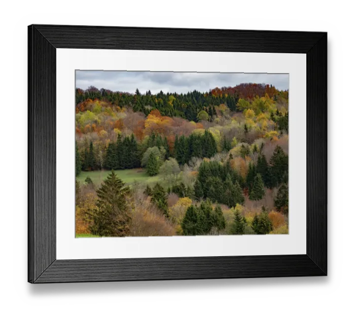 Framed Print : Autumn forest in the Rhon Framed Print : Autumn forest in the Rhon