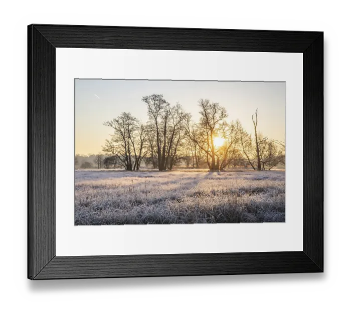 Framed Print : Winter landscape in frost at sunrise