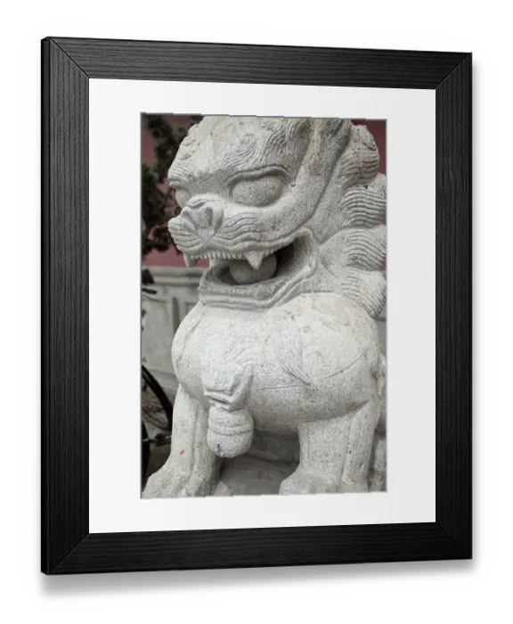 Framed Print : Kites