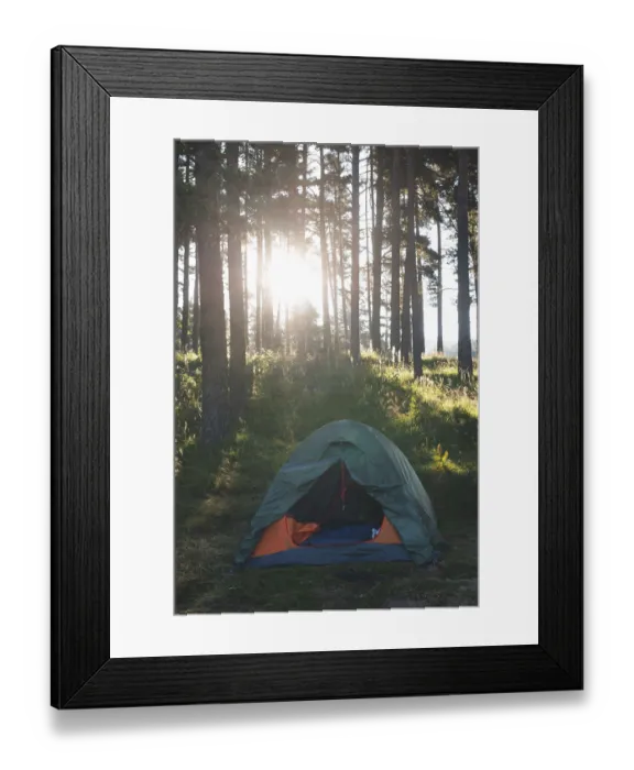 Framed Print : Tent in the forest on sunlight. Pine trees Framed Print : Tent in the forest on sunlight. Pine trees