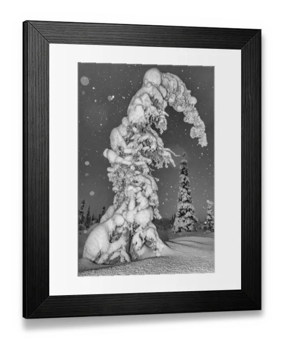 Framed Print : Snowfall in a snow-covered landscape