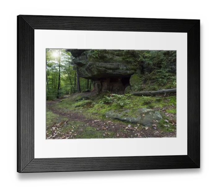 Framed Print : The Palatinate Forest in late summer
