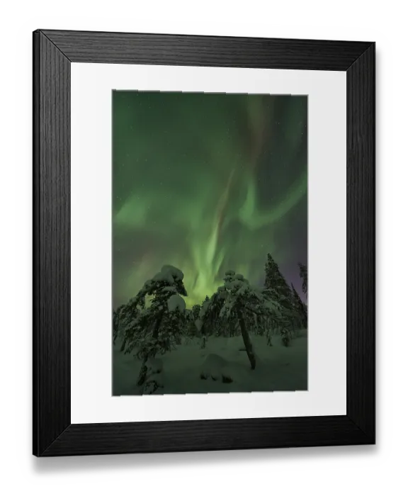 Framed Print : Northern Lights (Aurora borealis)