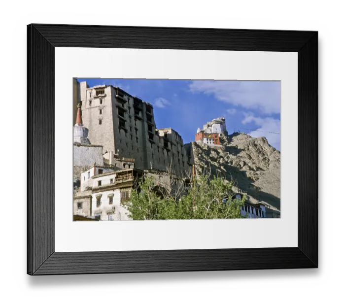 Framed Print : Palace and Gompa overlooking Leh