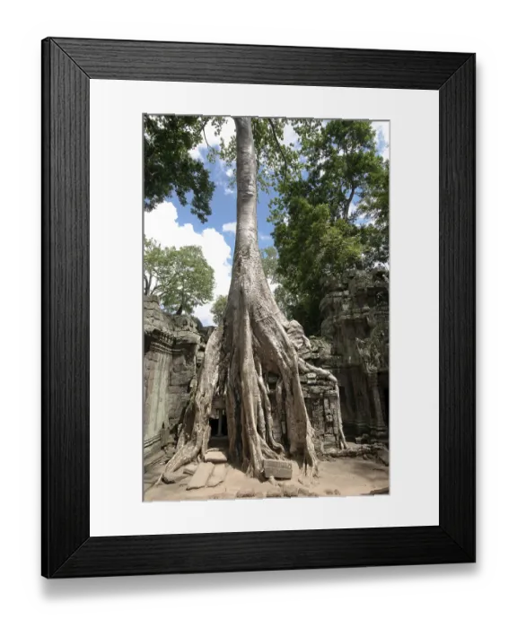 Framed Print : Ta Prohm, Angkor Wat complex, Siem Reap Framed Print : Ta Prohm, Angkor Wat complex, Siem Reap