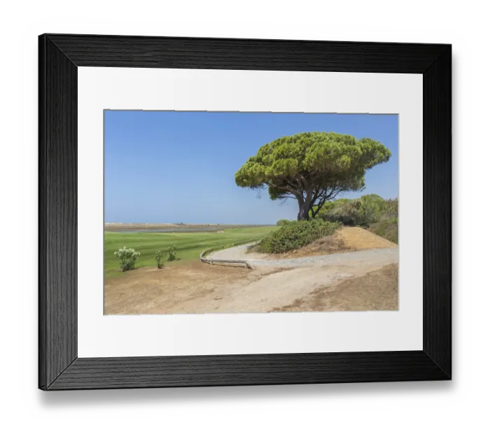 Framed Print : Portuguese landscape at coast with pine tree Framed Print : Portuguese landscape at coast with pine tree