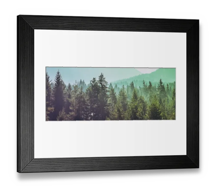 Framed Print : Pine trees green forest stylized silhouette photo banner background