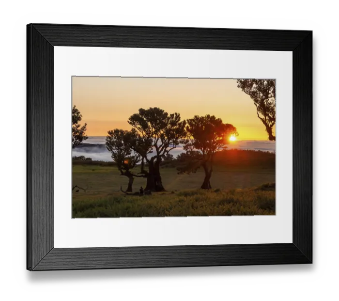 Framed Print : Trees of Fanal Forest at Sunset and Cloud Inversion Framed Print : Trees of Fanal Forest at Sunset and Cloud Inversion