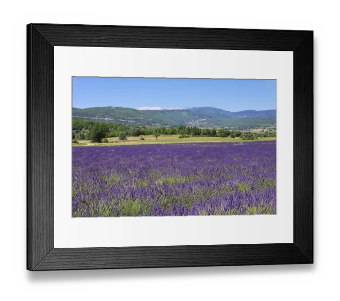 Framed Print : Mont Ventoux 25