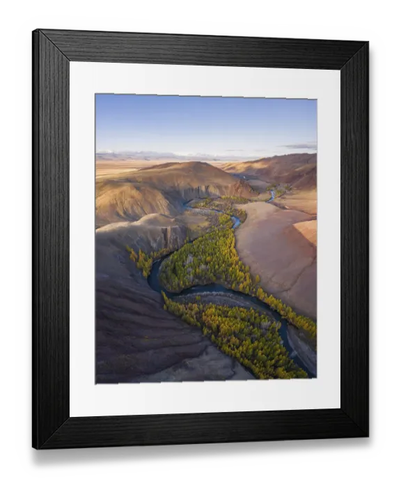 Framed Print : Red Hills of Clay, Mountains, Larches and Meanders of River in Autumn Framed Print : Red Hills of Clay, Mountains, Larches and Meanders of River in Autumn