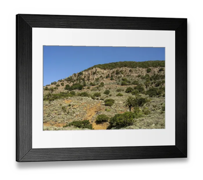 Framed Print : Landscape with palm trees and basalt columns