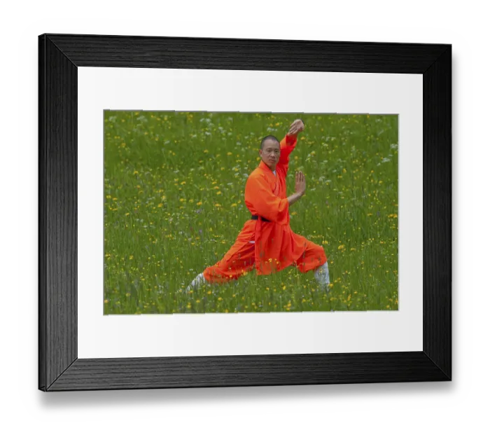 Framed Print : Shaolin monk Framed Print : Shaolin monk