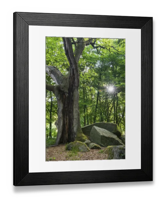 Framed Print : Large stone grave, Heide sacrificial table