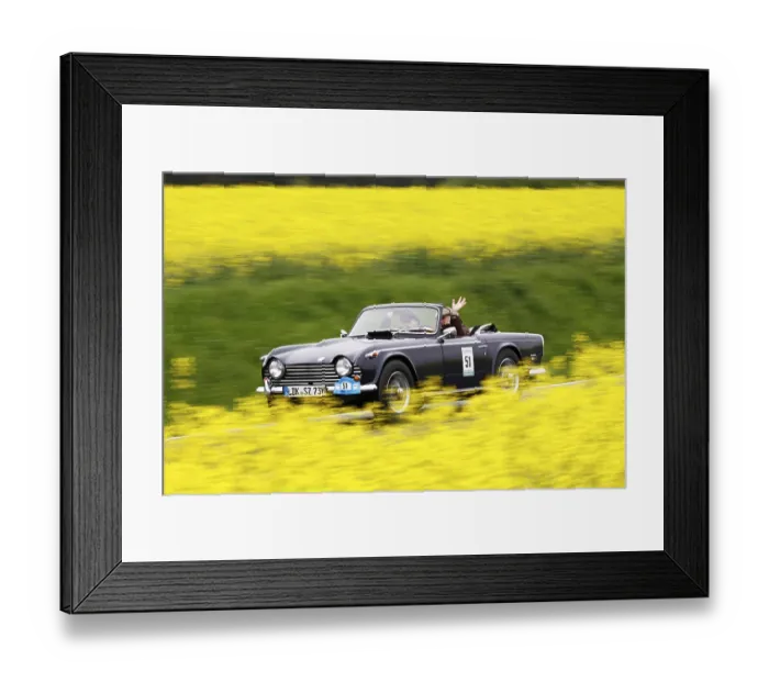 Framed Print : Vintage Car Rally 2012, Triumph TR 5 PI Framed Print : Vintage Car Rally 2012, Triumph TR 5 PI