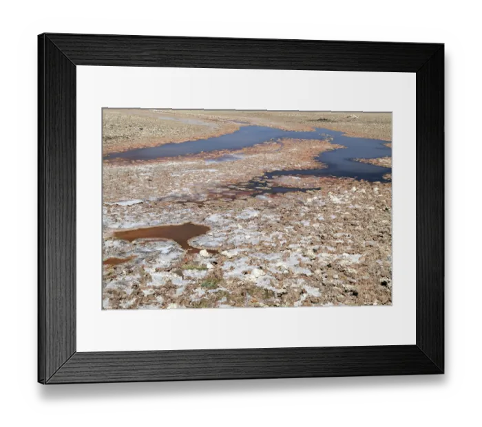 Framed Print : The Laguna Chaxa in Chile Framed Print : The Laguna Chaxa in Chile