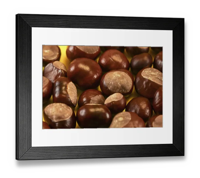 Framed Print : Closeup on pile of horse chestnuts