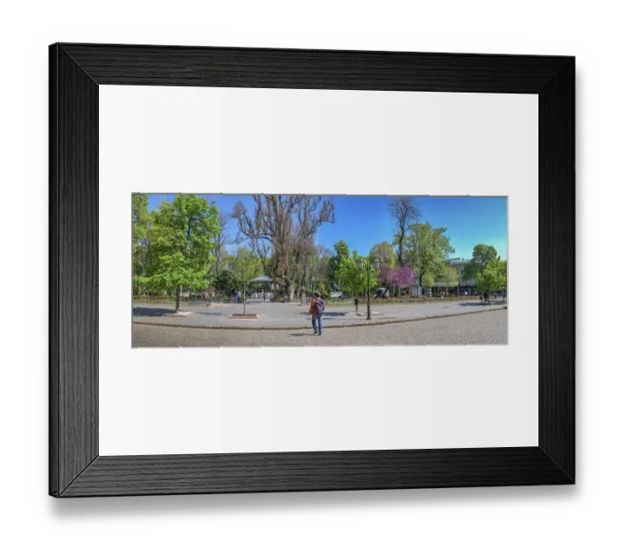 Framed Print : Odessa, Ukraine 06.05.2022.City garden in Odessa during the war in Ukraine on a sunny spring day Framed Print : Odessa, Ukraine 06.05.2022.City garden in Odessa during the war in Ukraine on a sunny spring day