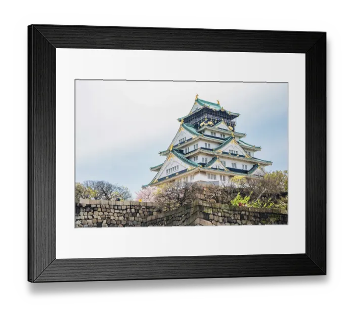Framed Print : Osaka castle with cherry blossoms of spring in Japan