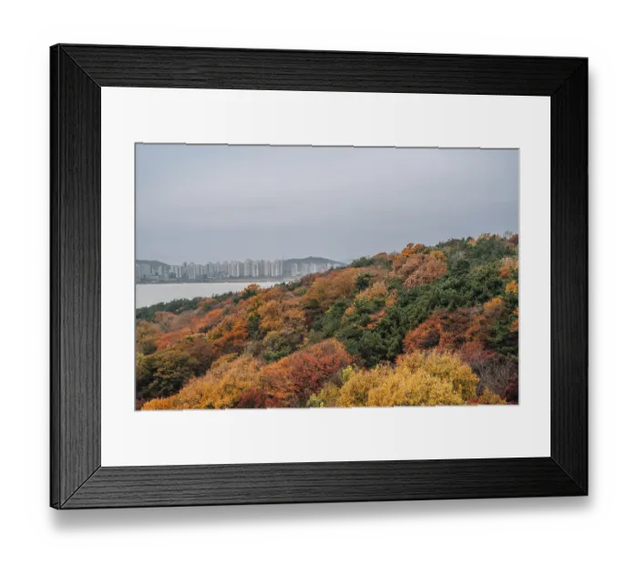 Framed Print : View of Wolmido island park and sea at autumn in Incheon