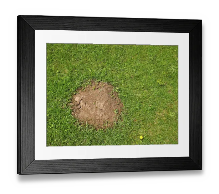 Framed Print : Heap the soil among young bright green grass in springtime