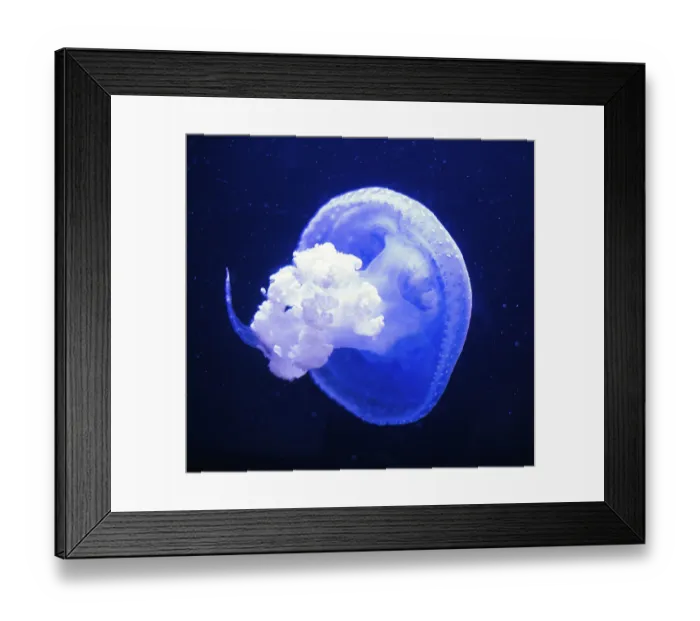 Framed Print : White-Spotted Jellyfish in deep sea