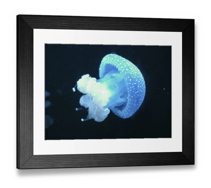 Framed Print : White-Spotted Jellyfish in deep sea