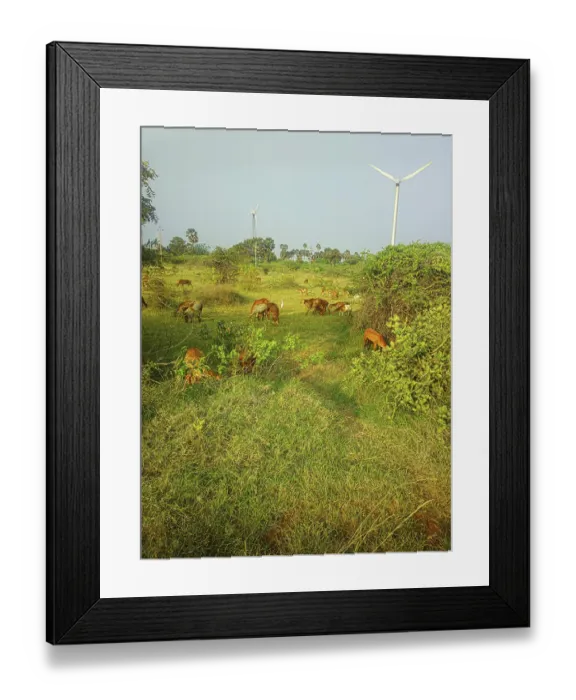 Framed Print : Colorful filming modern rustic idyll (pastoral)