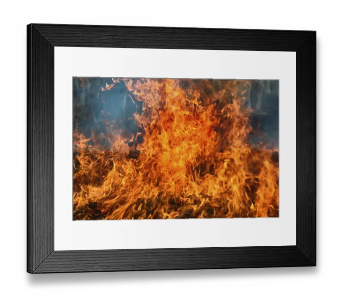 Framed Print : Prairie fire. Dry grass blazes among bushes Framed Print : Prairie fire. Dry grass blazes among bushes