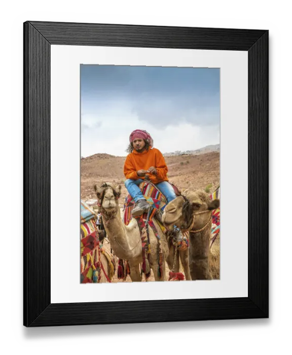 Framed Print : Petra, Jordan - October 26, 2015: Bedouin on a camel