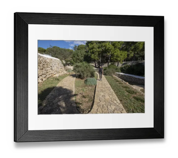 Framed Print : Mediterranean garden of native plants