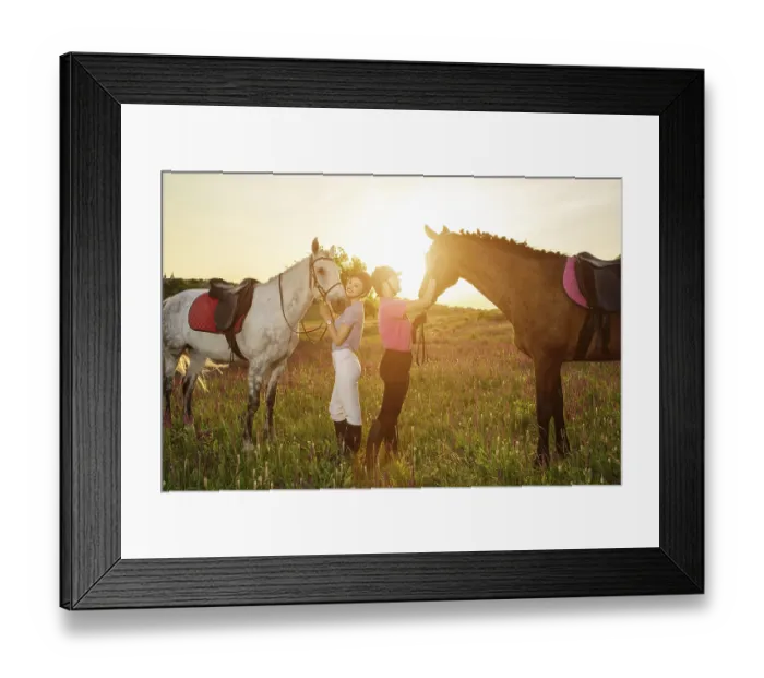 Framed Print : Two woman and two horses outdoor in summer happy sunset together nature Framed Print : Two woman and two horses outdoor in summer happy sunset together nature