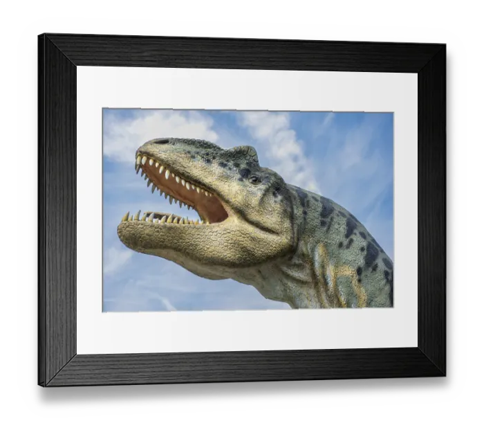 Framed Print : The wide-open mouth with sharp teeth of a replica of a predatory dinosaur Framed Print : The wide-open mouth with sharp teeth of a replica of a predatory dinosaur