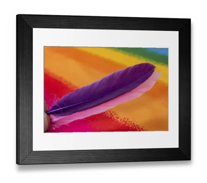 Framed Print : Bird soft plumage feathers in view