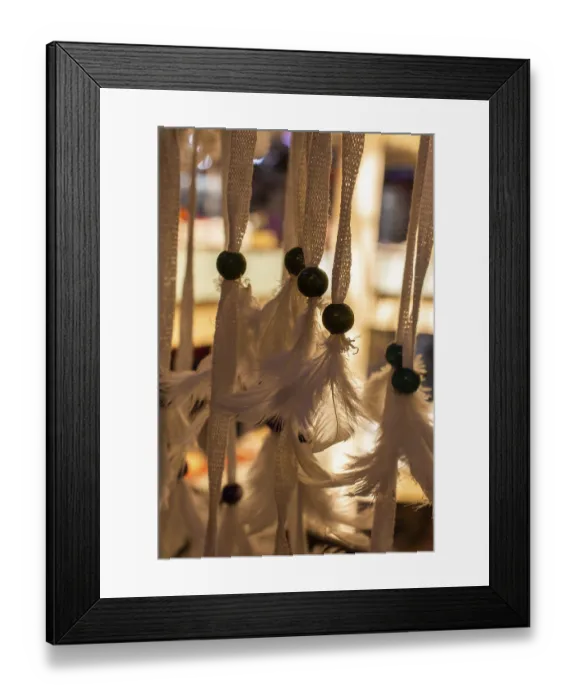 Framed Print : Bird soft plumage feathers in view