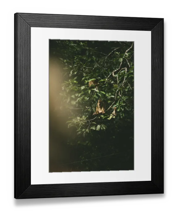 Framed Print : Two monkeys crouching on branched branches amidst green leaves