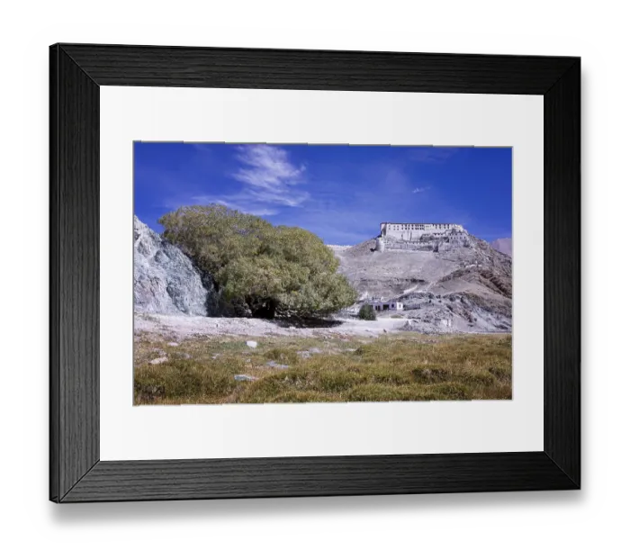 Framed Print : Hanle Monastery (Gompa), Ladakh, India