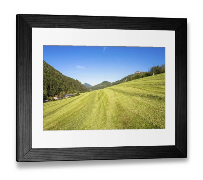 Framed Print : Alpine mountain pasture in the Hintergebirge or Limestone Alps in upper Austria Framed Print : Alpine mountain pasture in the Hintergebirge or Limestone Alps in upper Austria