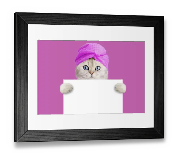 Framed Print : Adorable white cat in a towel on his head